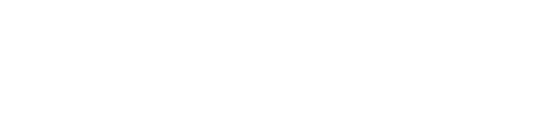 Stone Temple Pilots logo